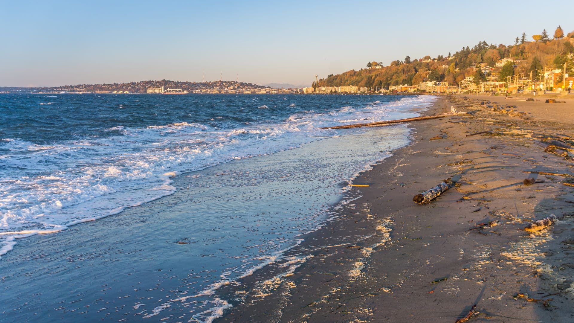 A serene beach scene with gentle waves lapping at the shore, lined with driftwood and a coastal hillside in the background.