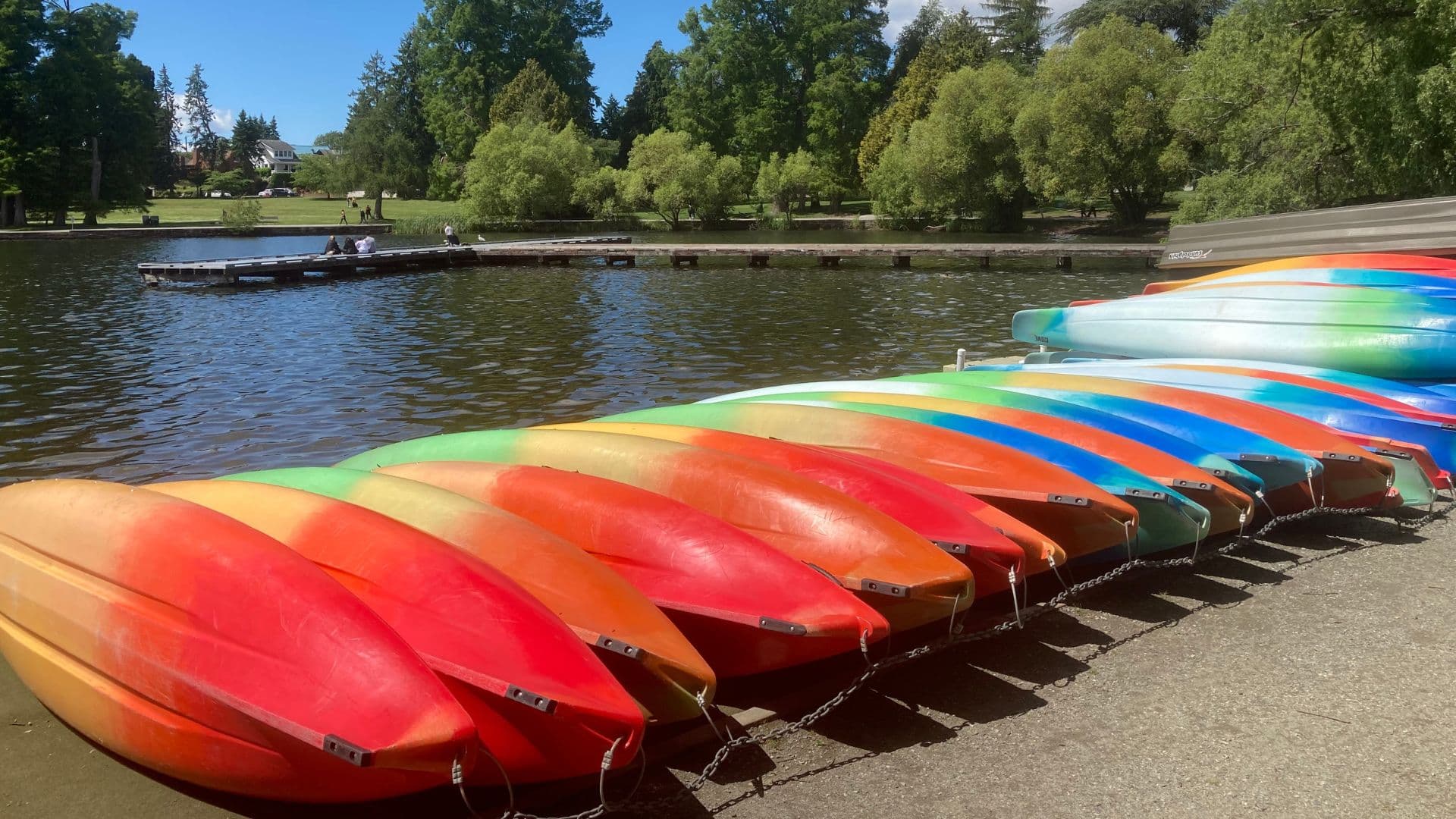 A row of colorful kayaks docked along a sunny lakeshore with trees in the background. A row of colorful kayaks docked along a sunny lakeshore with trees in the background.