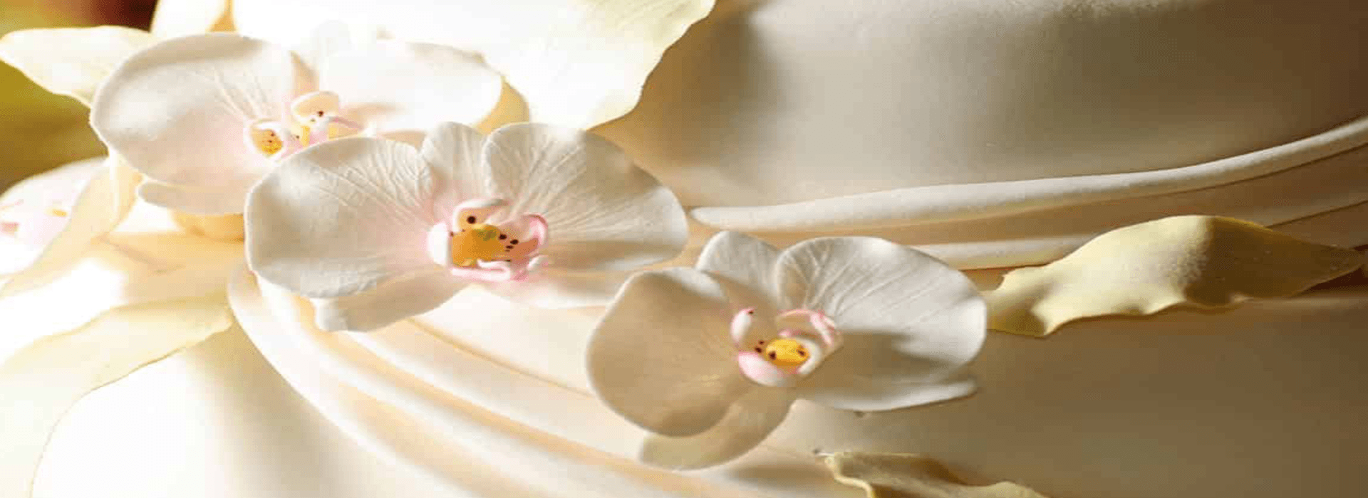 Close-up of an elegantly decorated cake featuring white orchids and delicate petals.