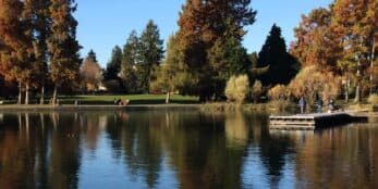 A serene lake surrounded by autumn-colored trees and a small dock.