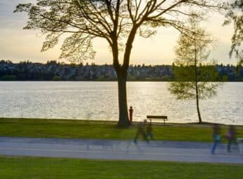 A serene lakeside scene at sunset with a tree, a bench, and people walking along a path.