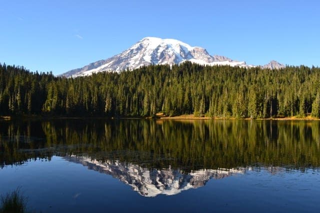 A snow-capped mountain reflects in a calm lake surrounded by evergreen trees.