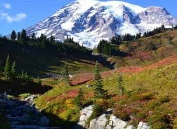 Snow-capped mountain towering over a colorful, forested valley with a clear blue sky.