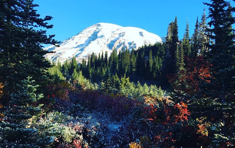 Snow-capped mountain surrounded by evergreen trees and colorful autumn foliage. Snow-capped mountain surrounded by evergreen trees and colorful autumn foliage.