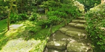 A stone pathway winds through a lush, green garden.