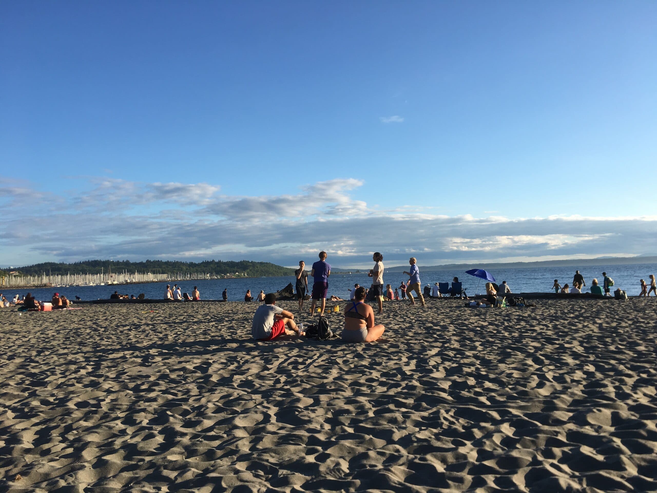 People relaxing on a sandy beach with a clear sky and ocean in the background.