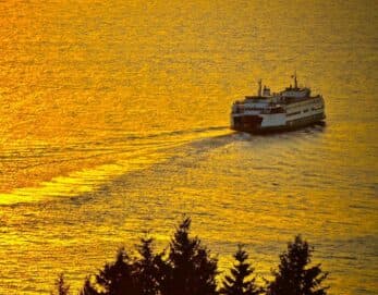 A ferry glides across shimmering golden waters at sunset.