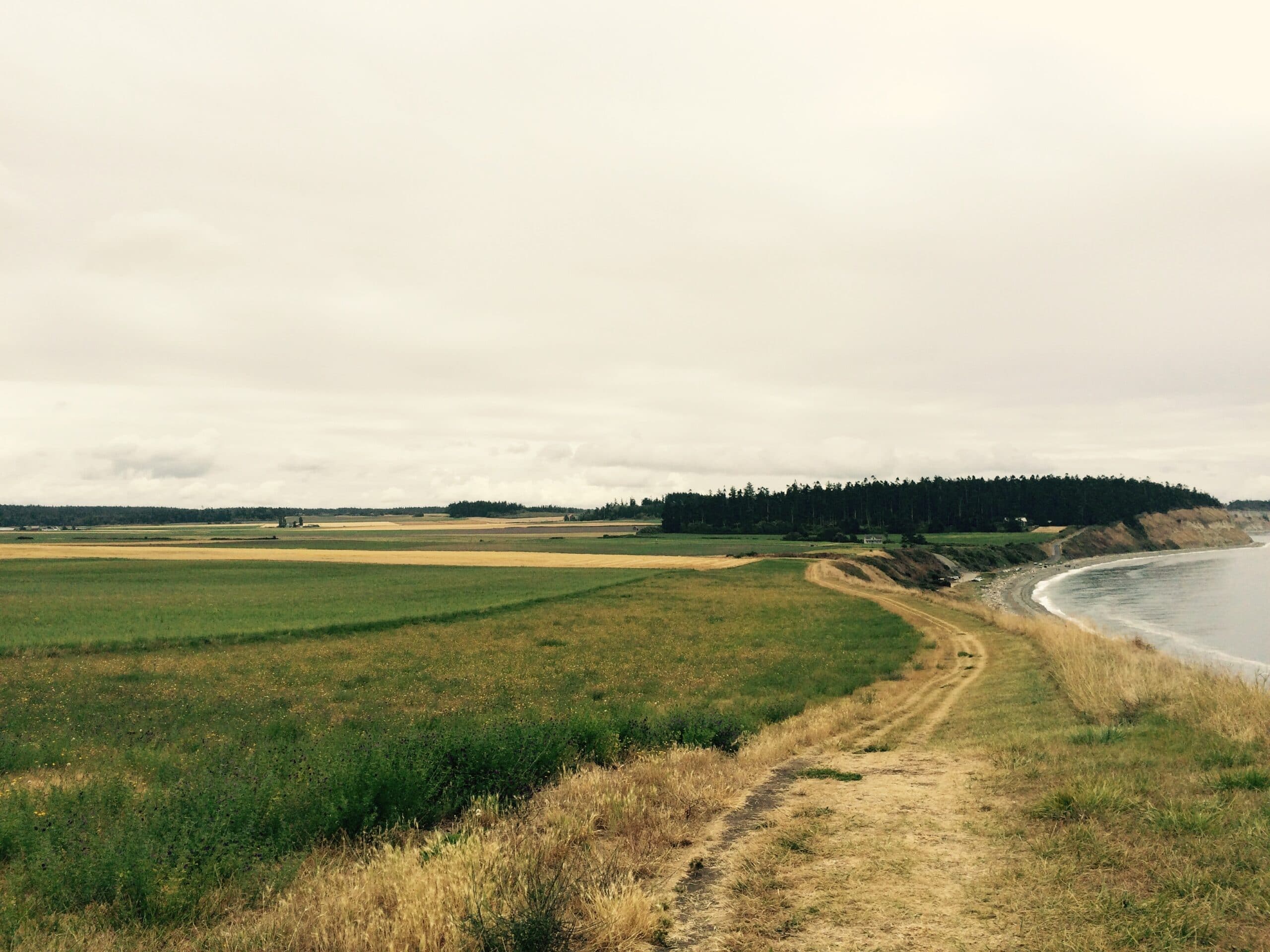 A path along a grassy field curves toward the shoreline under a cloudy sky.