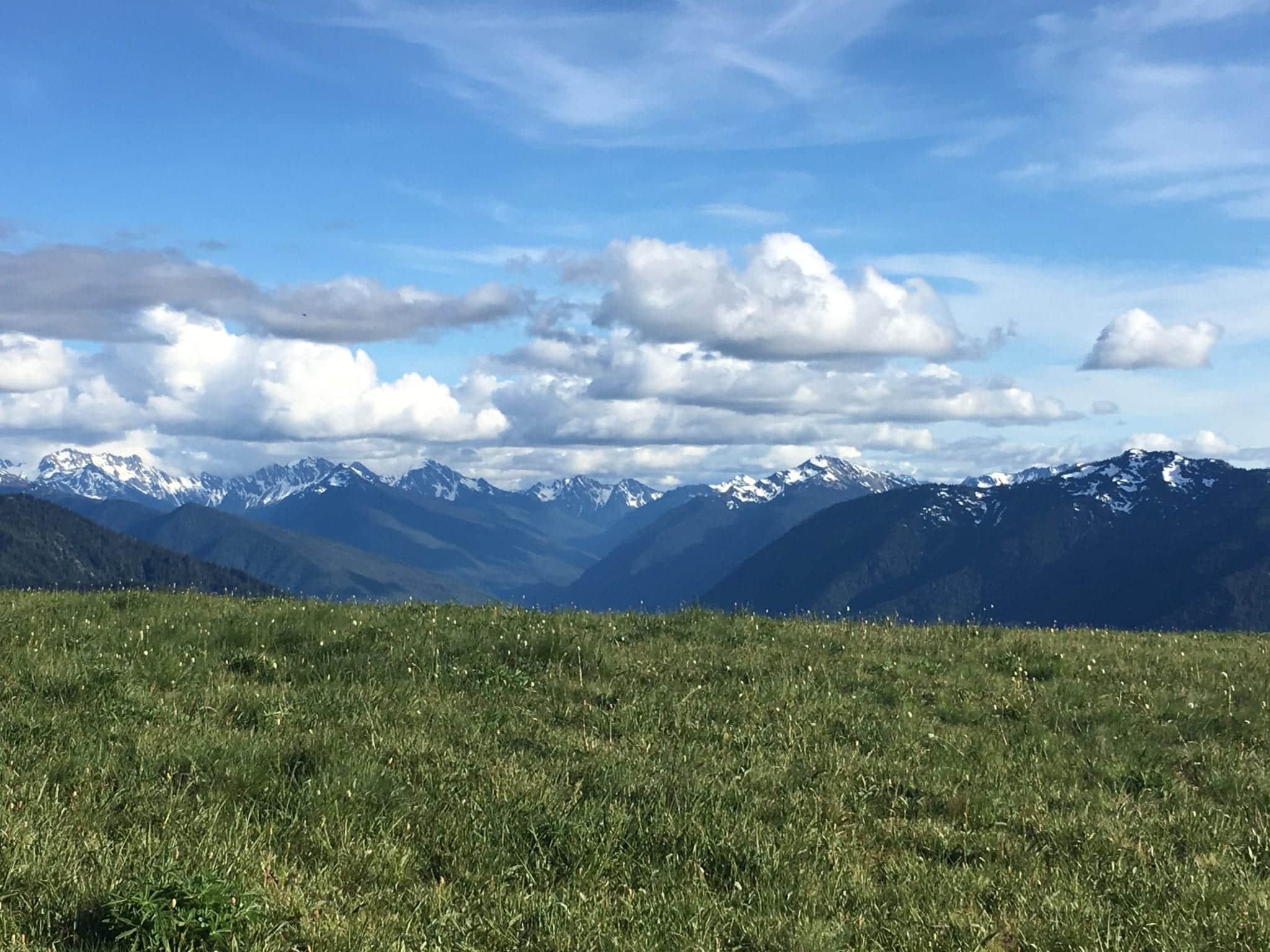 A panoramic view of snow-capped mountains under a blue sky with fluffy clouds and green grass in the foreground. A panoramic view of snow-capped mountains under a blue sky with fluffy clouds and green grass in the foreground.