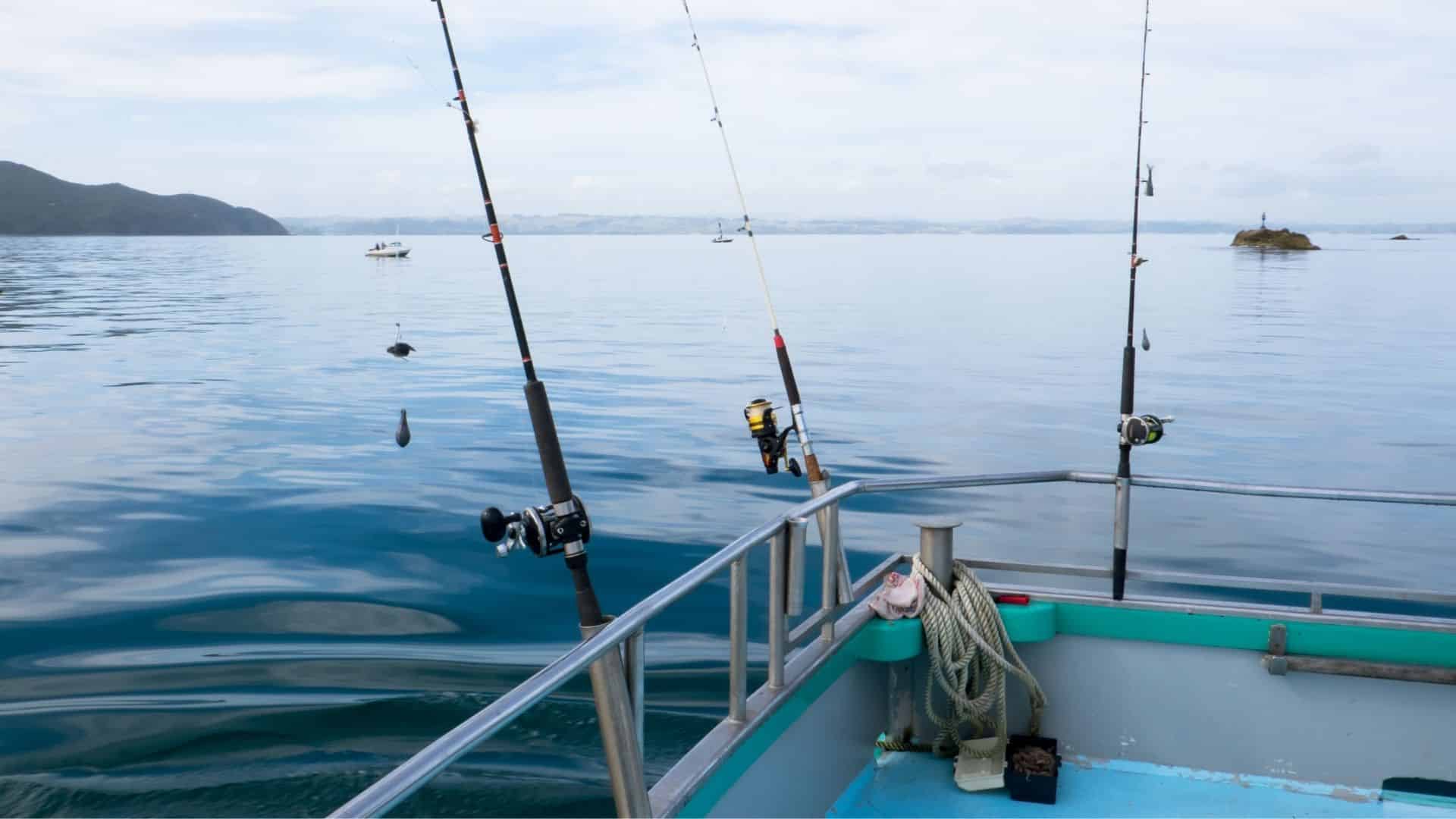 Fishing rods are set up on a boat, with calm water and distant land in the background.