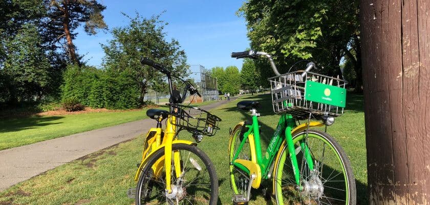 Bike share rentals standing near a pole and bike trail that runs through a park
