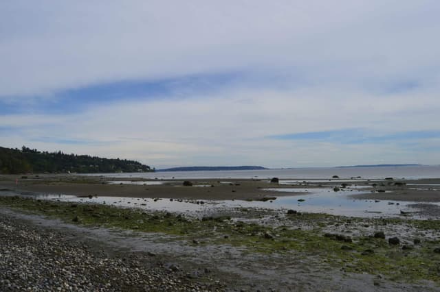 Discovery Park beach at low tide