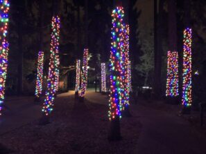 holiday lights on trees at Woodland Park Zoo