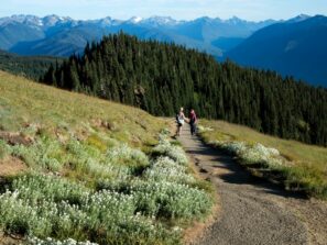 two people hiking on hurricane ridge in olympic national park